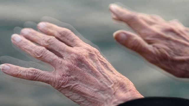 دو ماده مغذی مفید در پیشگیری از خطر ابتلا به پارکینسون