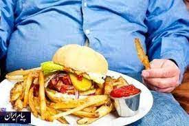 عوارض خطرناک فست فودها بر سیستم ایمنی بدن