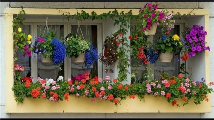 خواص گل‌ها برای سلامت روح و روان