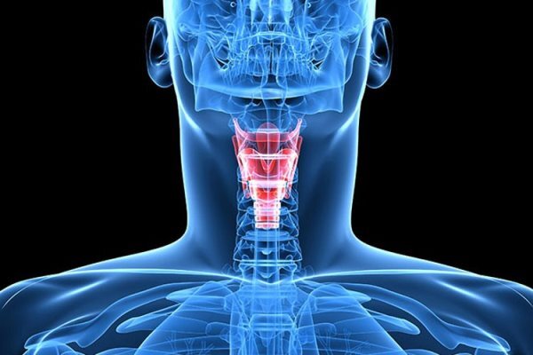 ضایعات تارهای صوتی با سلول‌های بنیادی درمان می‌شود