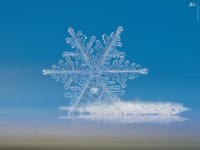 عکس/ دانه برف زیر میکروسکوپ