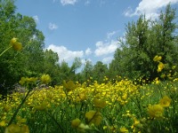 جاذبه‌های گردشگری سرعین