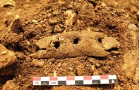 حل معمای ساخت طناب در عصر پارینه سنگی