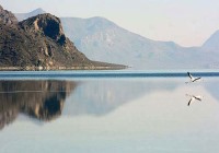 دریاچه‌های بختگان و طشک