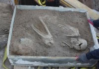 قدیمی‌ترین محل زندگی انسان کجاست؟