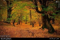 طبیعت پاییزی مازندران