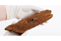 قایق اسباب بازی که رودخانه زمان را طی کرد + تصاویر