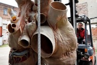 نمایش قلب 272 کیلوگرمی نهنگ آبی در یک موزه