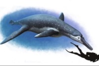 کشف فسیل گونه جدیدی از خزنده دریایی در روسیه