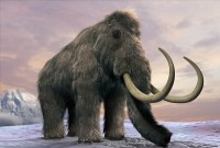 سرمایه میلیاردی برای احیای ماموت