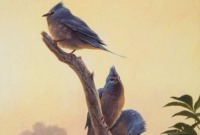 کشف فسیل 62 میلیون ساله یک پرنده