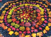 زمین در خدمت هنر، هنر در خدمت زمین!