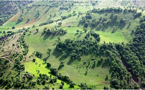 آداب و رسوم مردم کردستان در ایام نوروز