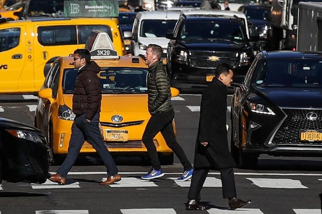 بشر تنها یک صدم درصد از حیات روی زمین را تشکیل می دهد