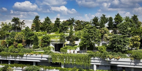 با برترین ساختمان سال جهان آشنا شوید