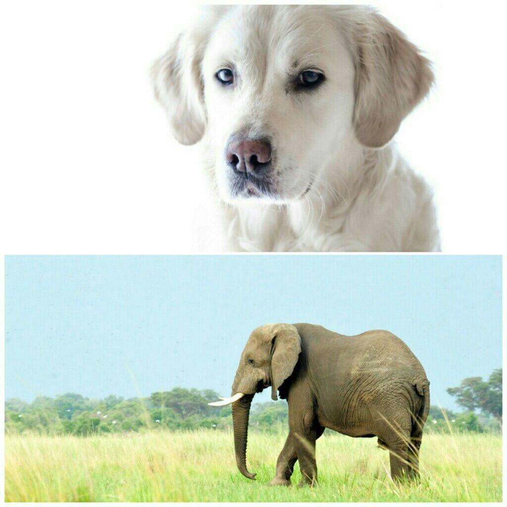 تصاویر جالب از نشنال جئوگرافیک (3)