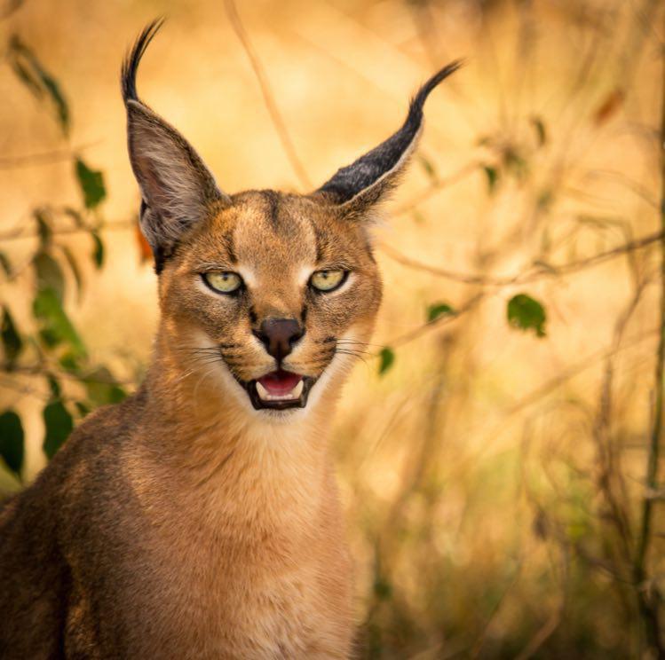 تصاویر جالب از نشنال جئوگرافیک (4)