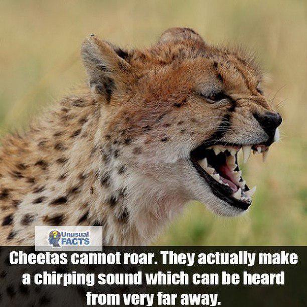 تصاویر جالب از نشنال جئوگرافیک (40