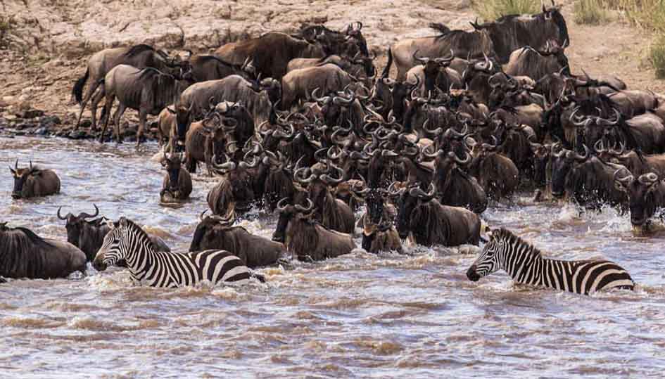 تصاویر جالب از نشنال‌جئوگرافیک (47)