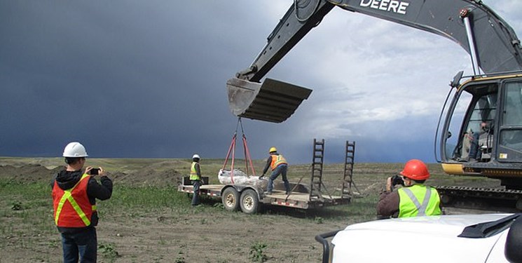 کشف فسیل یک جاندار 70 میلیون ساله+تصویر