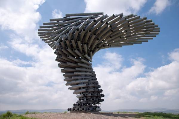 درخت آواز خوان ؛ خوش صداترین سازه‌ی دنیا