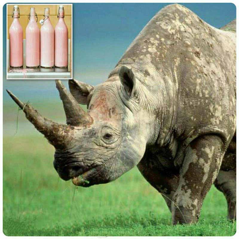 تصاویر جالب از نشنال‌جئوگرافیک (56)