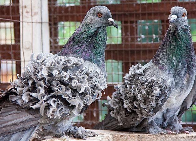 تصاویر جالب از نشنال‌جئوگرافیک (57)