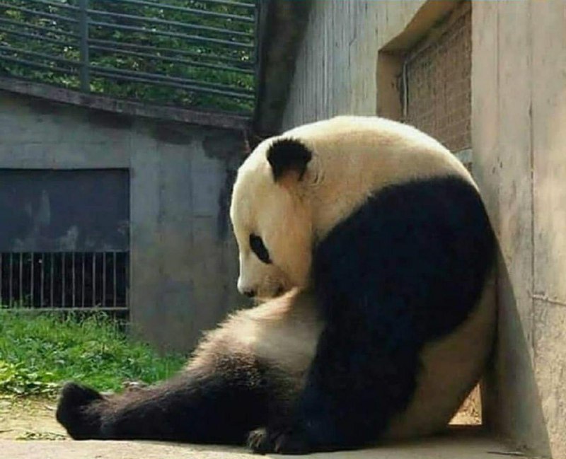 تصاویر جالب از نشنال‌جئوگرافیک (55)