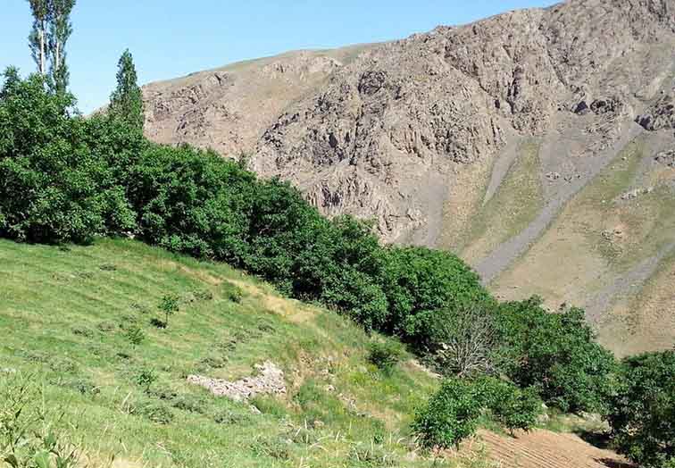 به شهر ما بیایید - ونایی، بهشتی بِکر و روح‌نواز در بروحرد