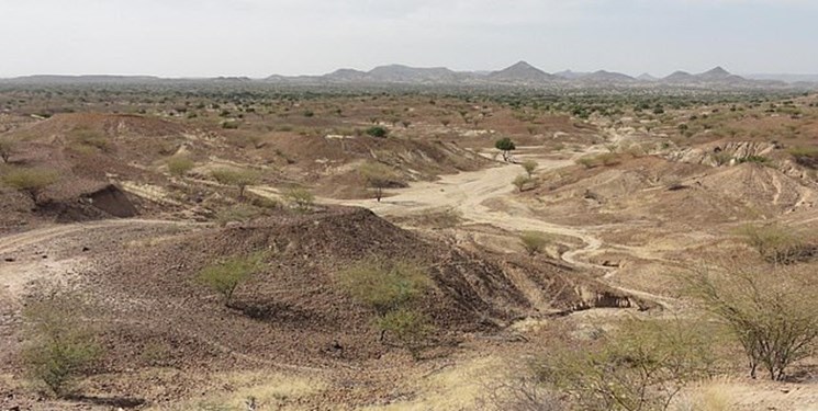 کشف فسیل 100 میلیون ساله گروهی از دایناسورها