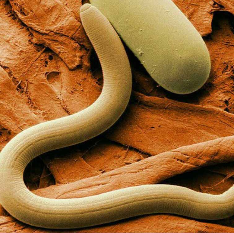 تصاویر جالب از نشنال‌جئوگرافیک (62)