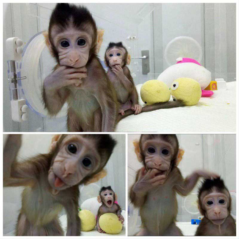 تصاویر جالب از نشنال‌جئوگرافیک (66)