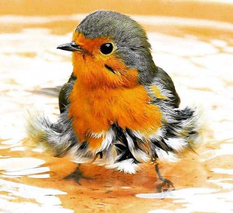 تصاویر جالب از نشنال‌جئوگرافیک (64)