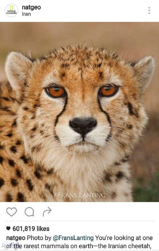 تصاویر جالب از نشنال‌جئوگرافیک (68)