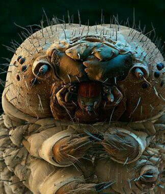 تصاویر جالب از نشنال جئوگرافیک (72)