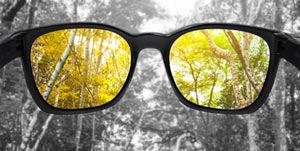 سرگرمی: آیا می‌دانید کوررنگی دارید یا نه؟ +تست کوررنگی