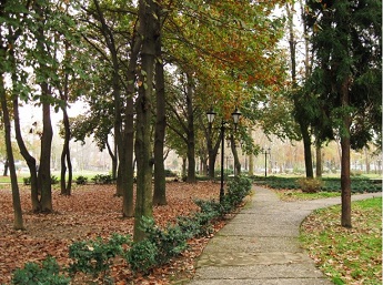 زیبایی‌های شهر من: کلاه‌فرنگیِ باغ محتشم