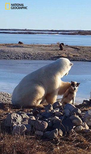 دنیای بی‌نظیر حیوانات از نگاه نشنال جئوگرافیک (2)