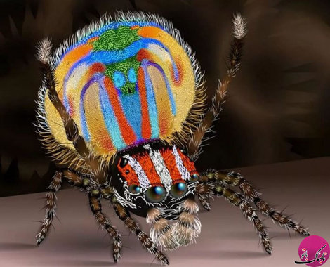 حیواناتی با رنگ‌های بی نظیر (2)