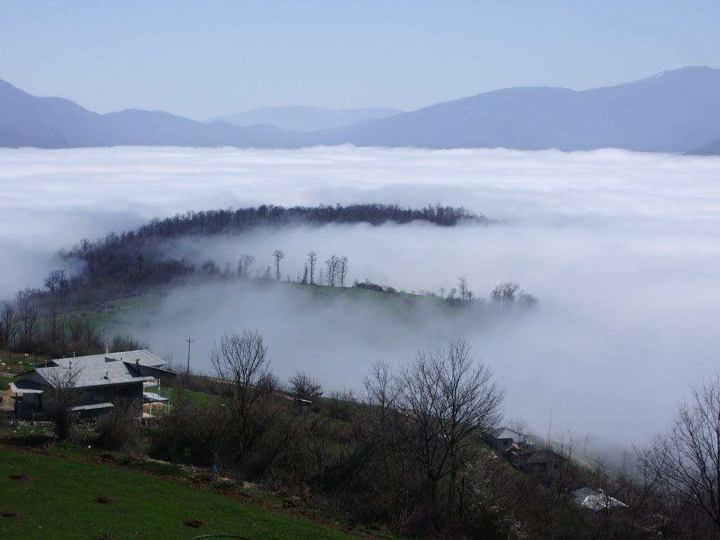 ایران‌شناسی: جنگل ابر شاهرود