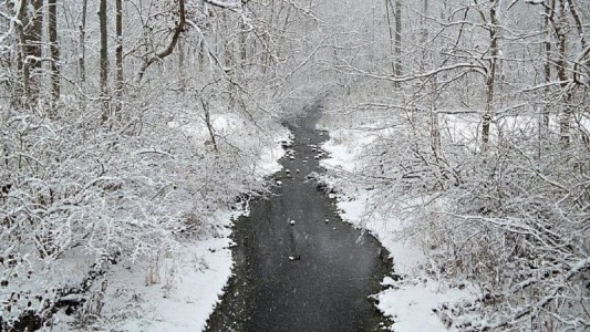 چرا وقت بارش برف دنیا آرام تر به نظر می رسد؟