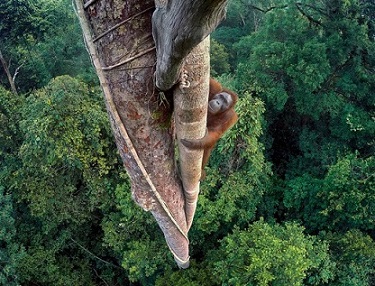 برترین‌های حیات‌وحش