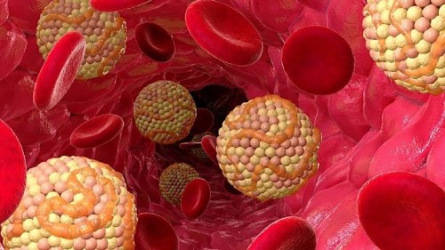 دو داروی گیاهی جدید رونمایی شدند