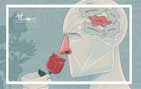 هوش مصنوعی بهتر از انسان می‌بوید