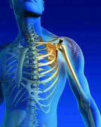 اصول طلایی در پیاده‌روی برای تقویت استخوان‌ها