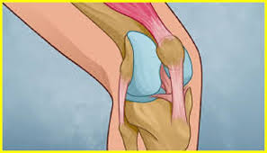 چگونه زانوهای خود را تقویت کنیم؟