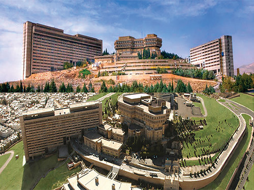 یادگار ماندگار: قبولی‌های کانونی دانشگاه شیراز در سال 98