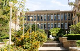 یادگار ماندگار: قبولی‌های کانونی دانشگاه صنعتی  سهند درسال1403