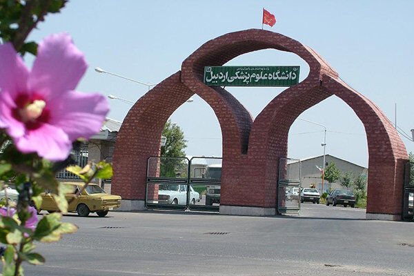 یادگار ماندگار: قبولی‌های کانونی علوم پزشکی اردبیل در سال 1403