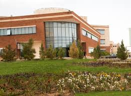 یادگار ماندگار: قبولی‌های کانونی دانشگاه مراغه در سال 1403